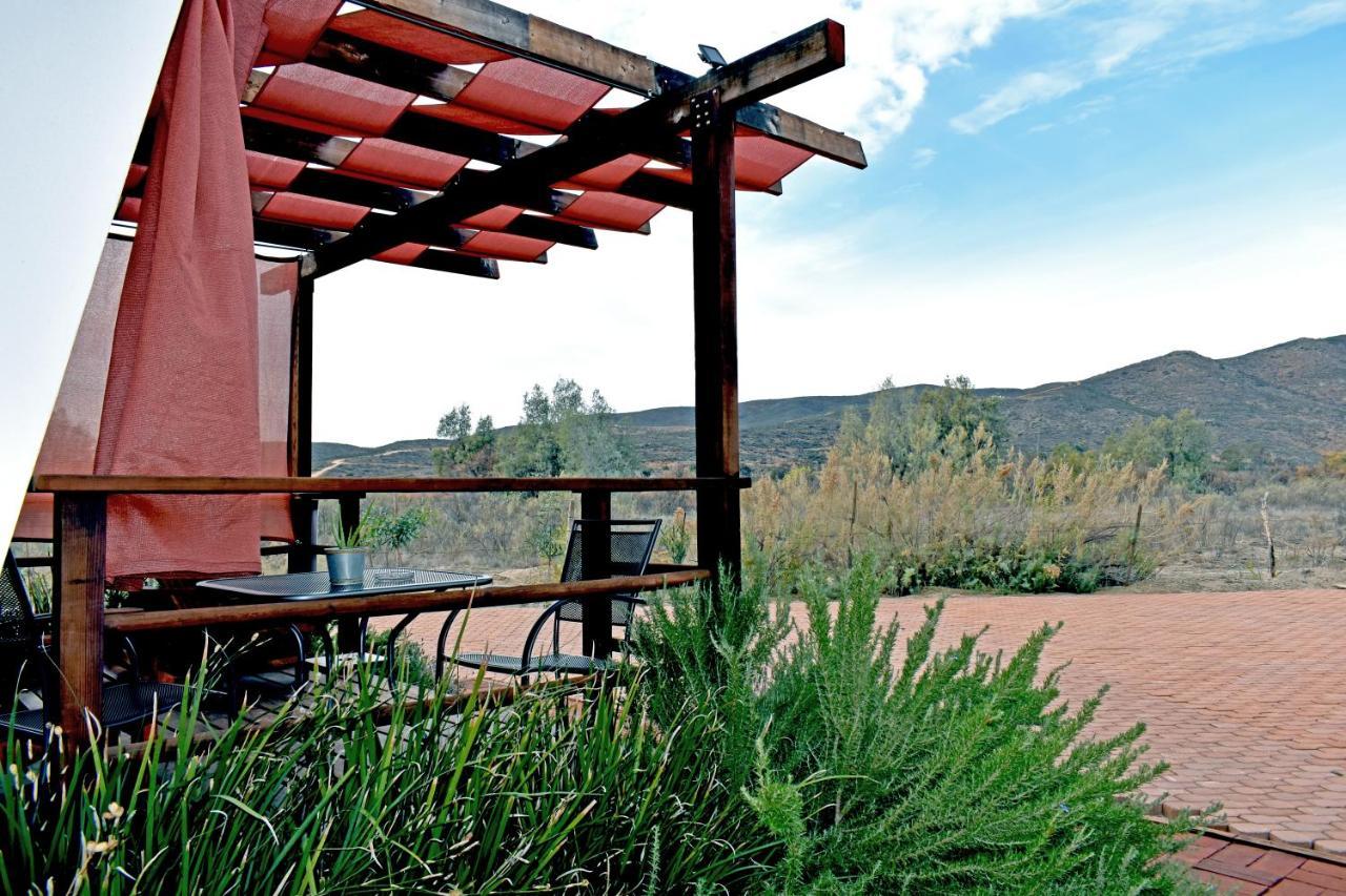 Vides Del Rio Suites Valle de Guadalupe Zewnętrze zdjęcie