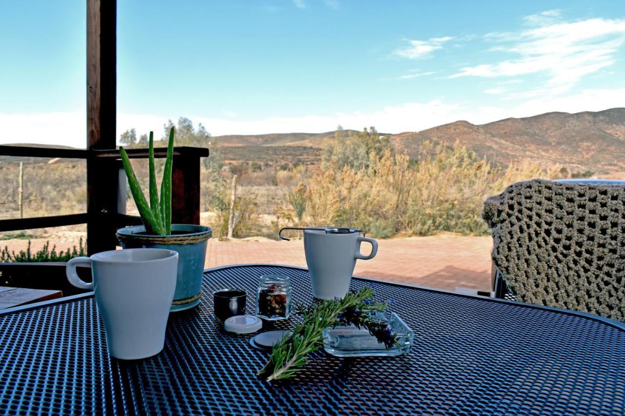 Vides Del Rio Suites Valle de Guadalupe Zewnętrze zdjęcie